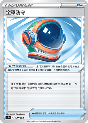 Full Face Guard