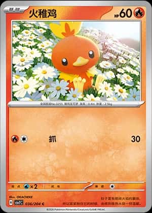 Torchic