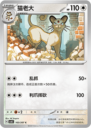 猫老大
