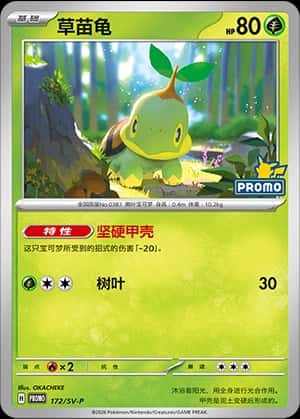 Turtwig