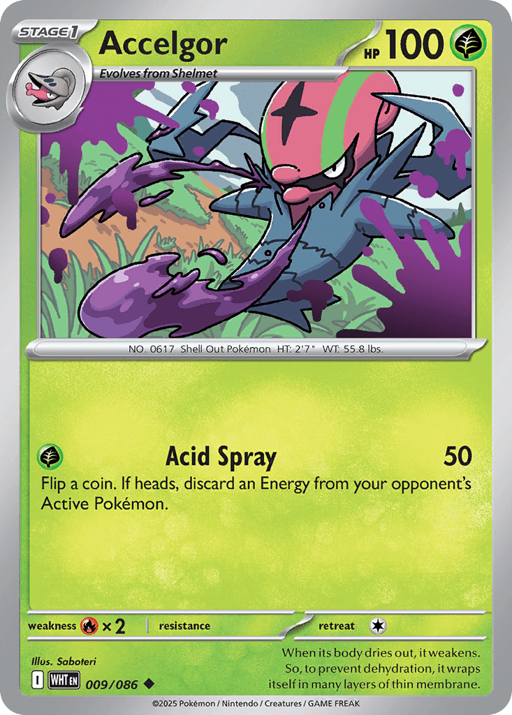 Accelgor [Masterball]