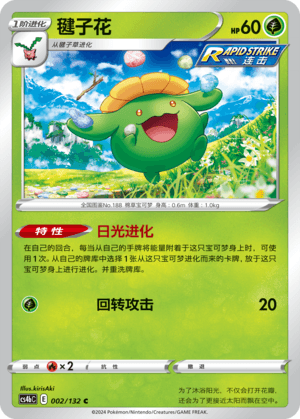 Skiploom