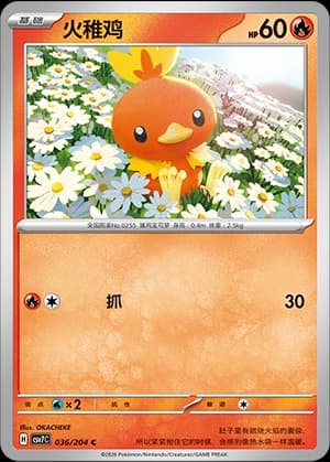 Torchic