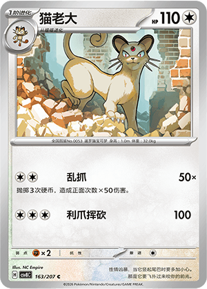 猫老大