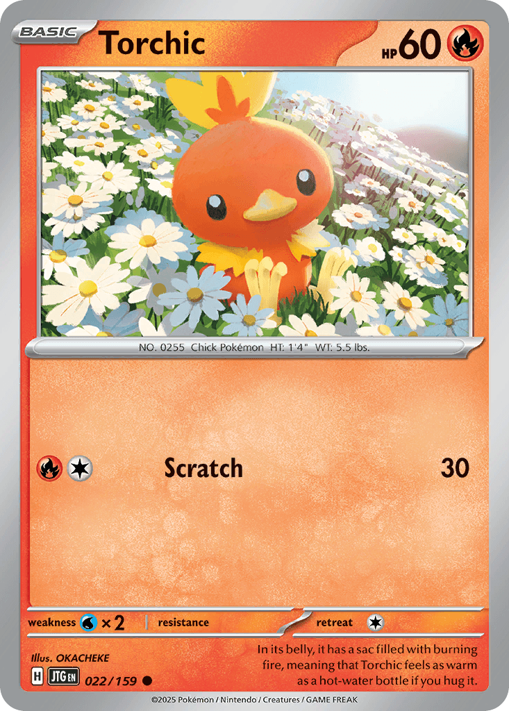 Torchic [Reverse Holo]