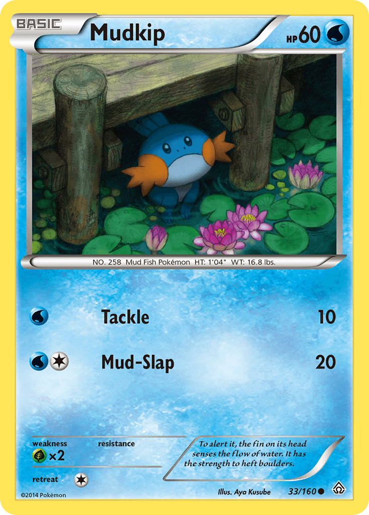 Mudkip [Reverse Holo]