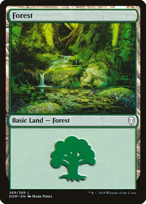 Forest