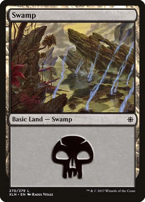 Swamp