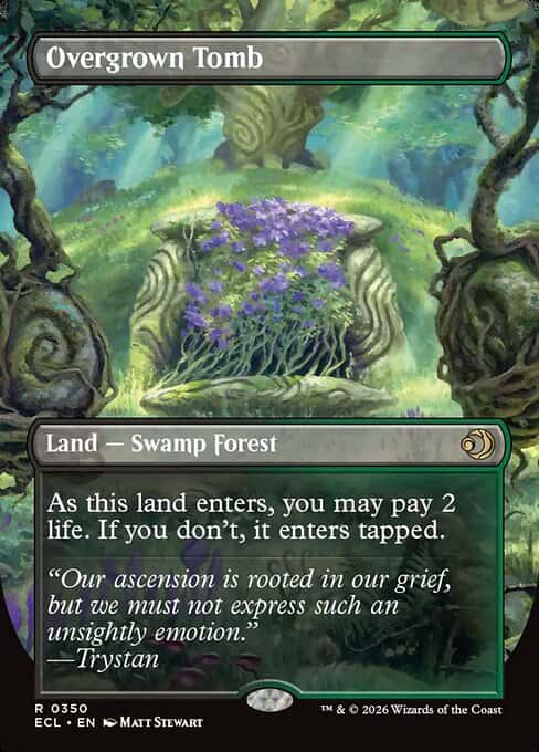 Overgrown Tomb // Overgrown Tomb