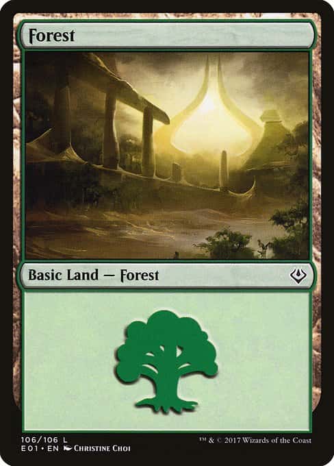 Forest