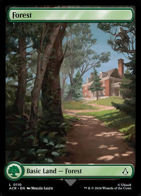 Forest