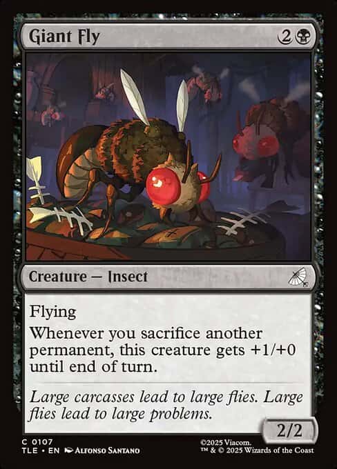 Giant Fly