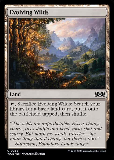 Evolving Wilds