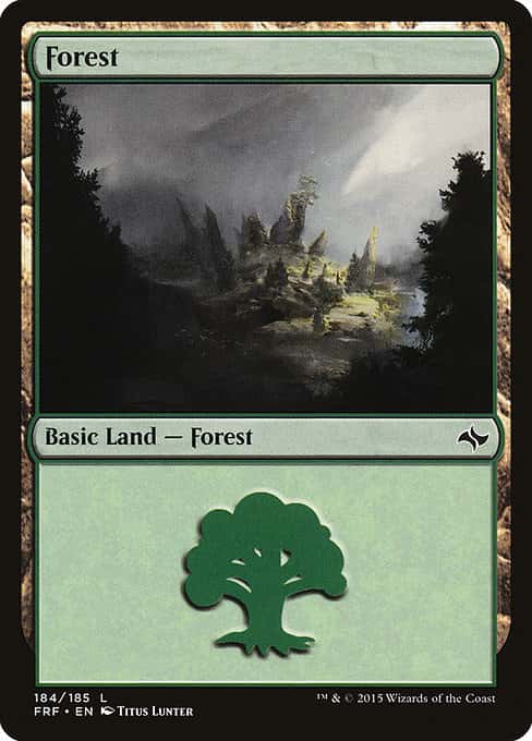 Forest