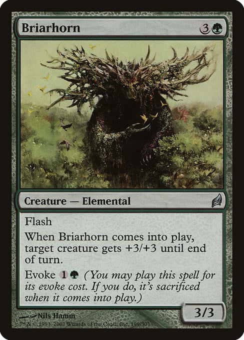 Briarhorn