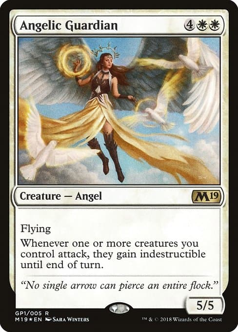M19 Gift Pack
