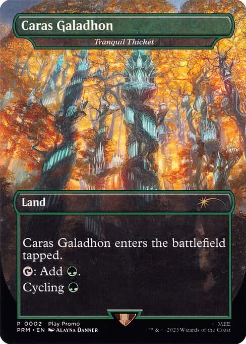 Tranquil Thicket