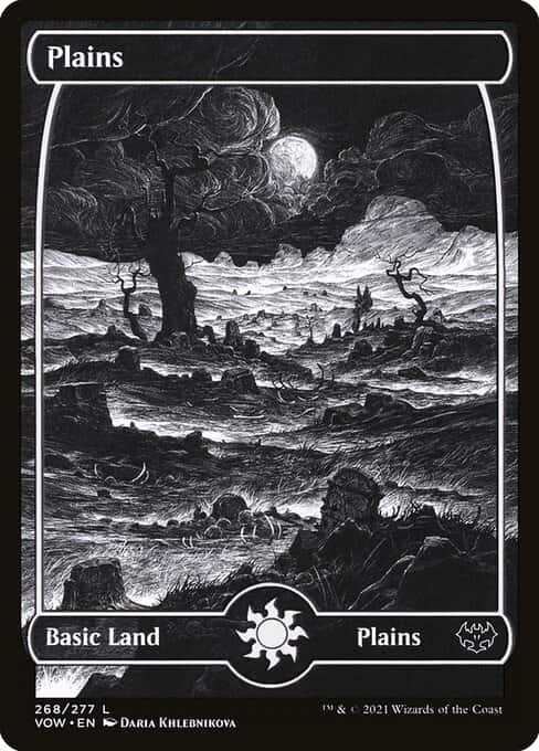 Plains