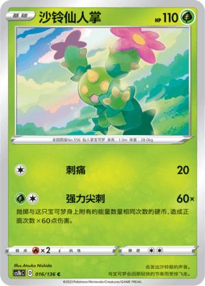 Maractus