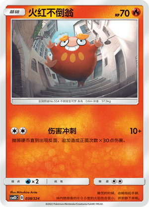 Darumaka