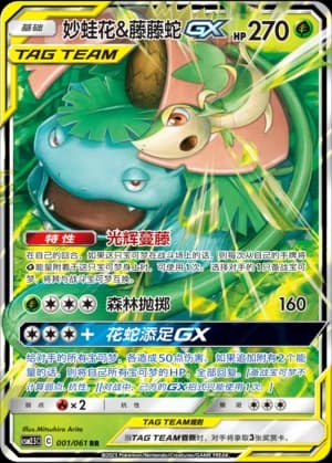 妙蛙花&藤藤蛇GX