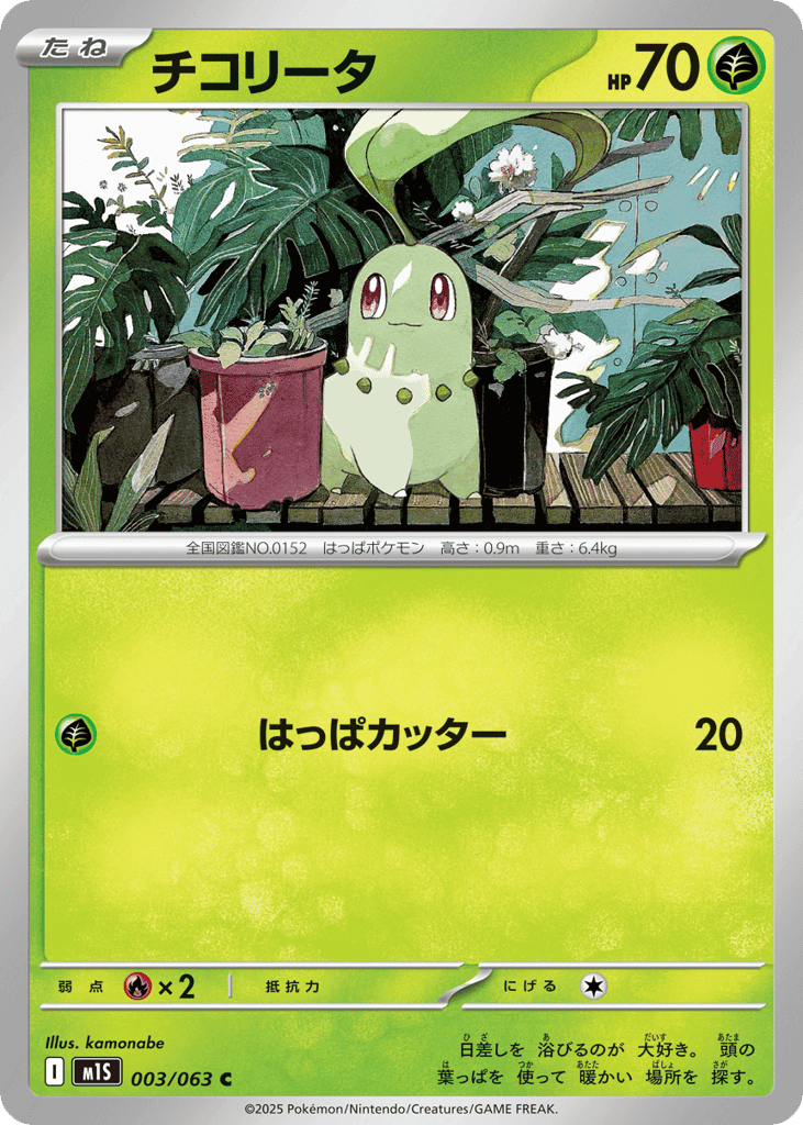 Chikorita