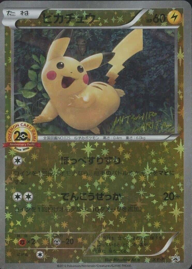 Pikachu (Battle Festa)