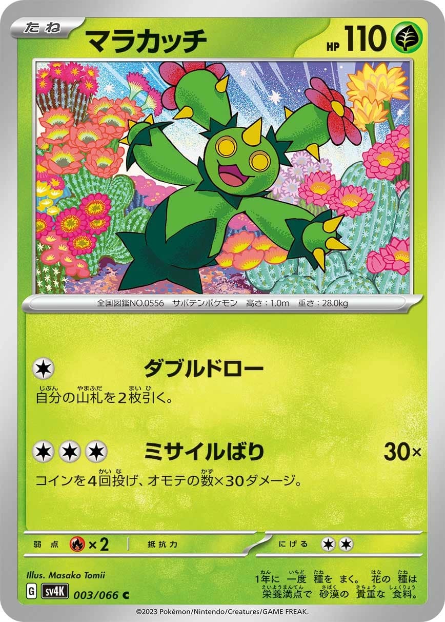 Maractus
