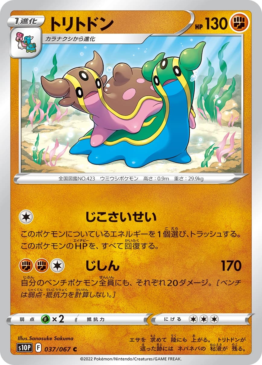 Gastrodon