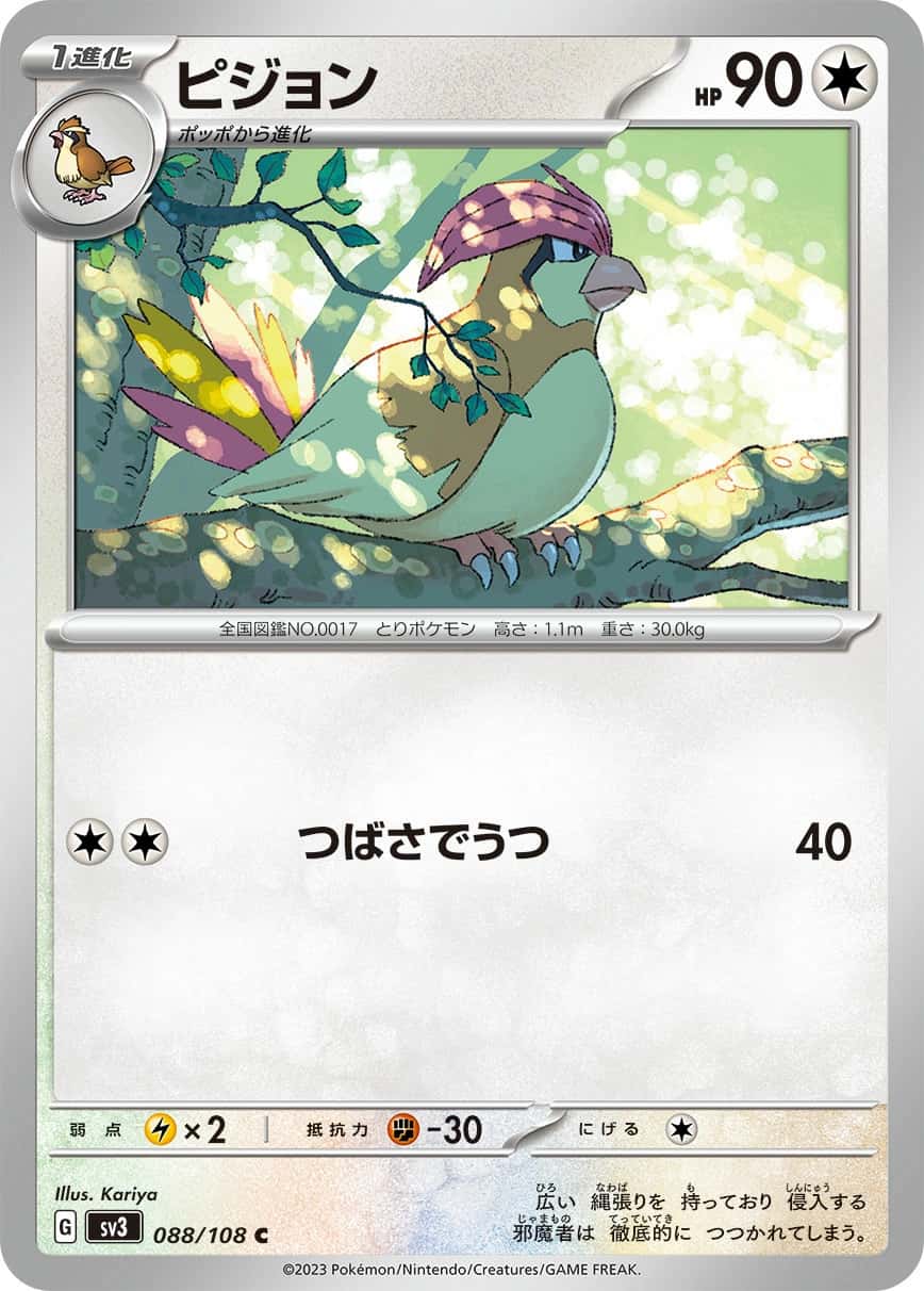 Pidgeotto