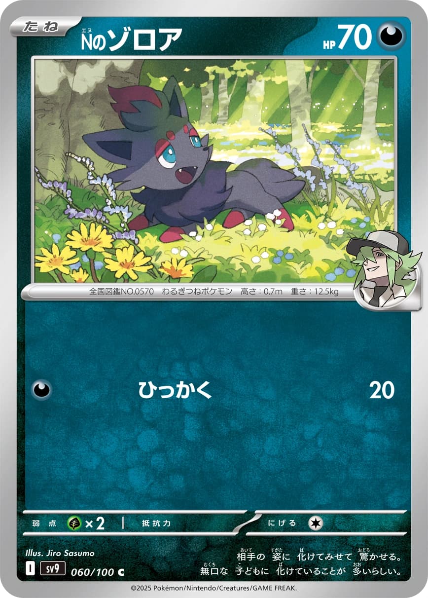 N's Zorua
