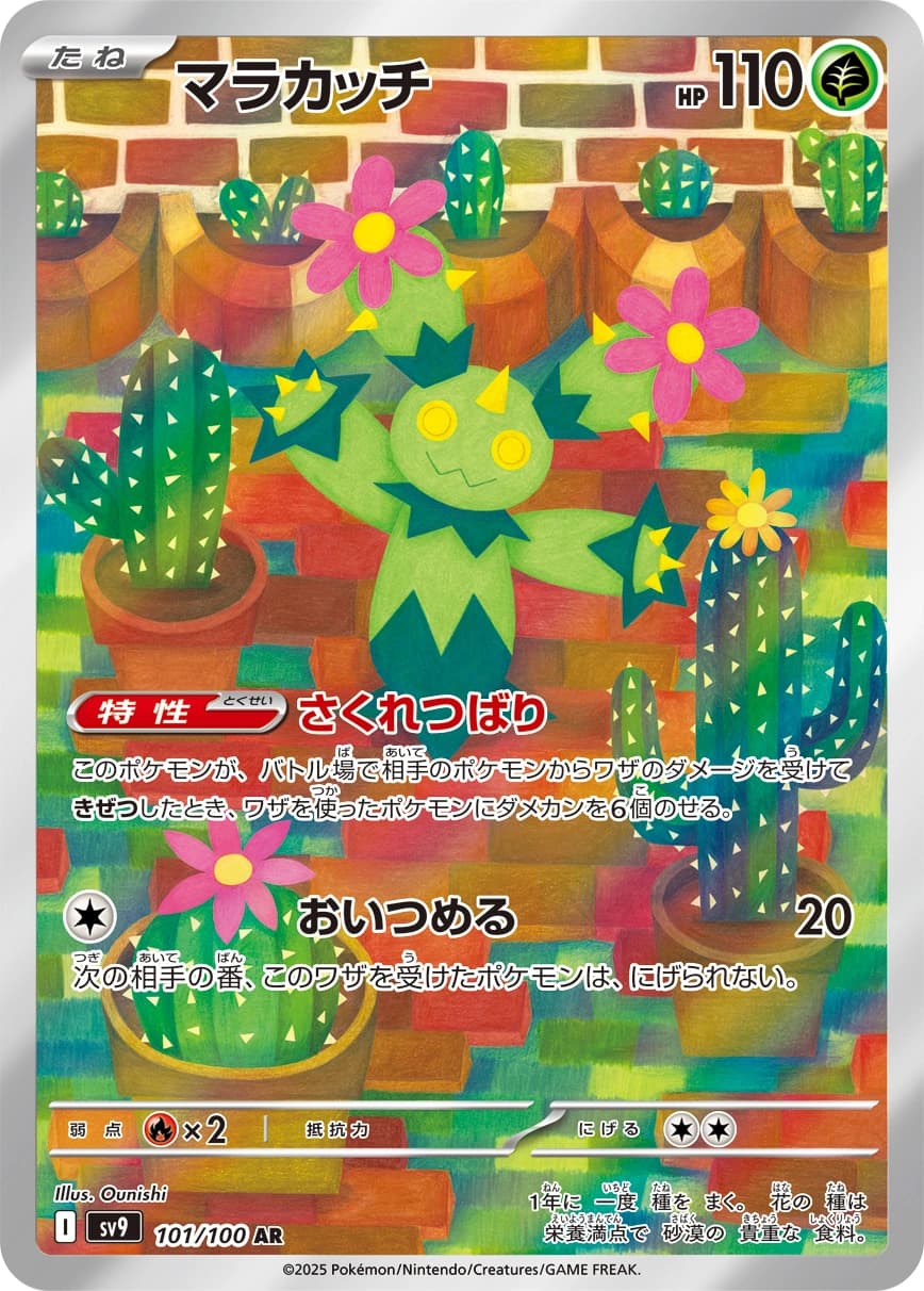 Maractus