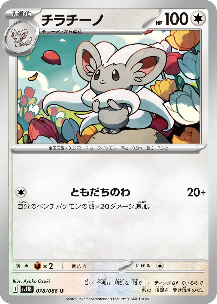 Cinccino