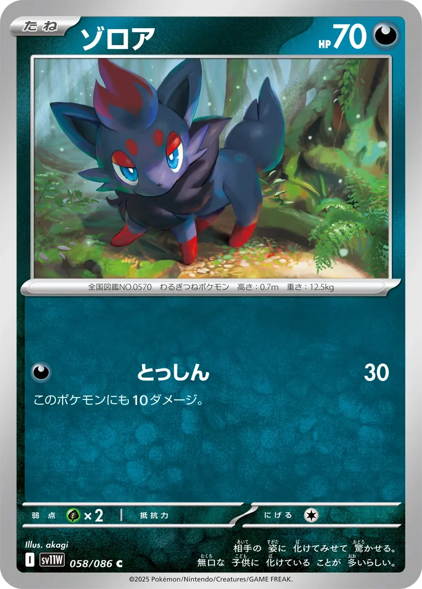 Zorua