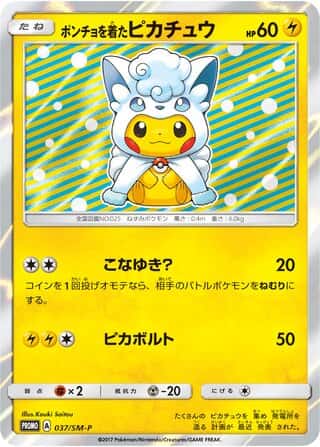 Poncho Wearing Pikachu