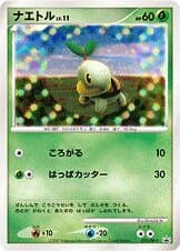 Turtwig