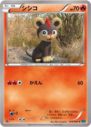 Litleo