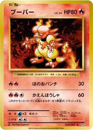 Magmar 20 Expansion Pack