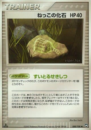 Root Fossil