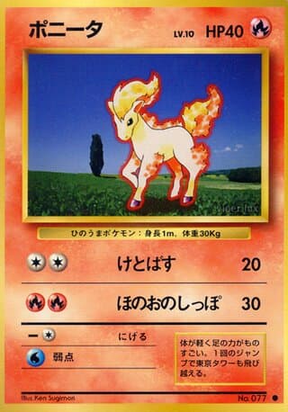 Ponyta