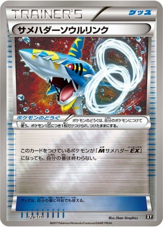 Sharpedo Spirit Link