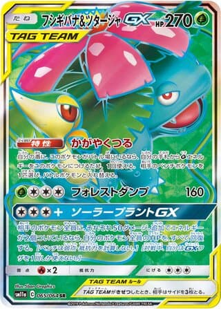 Venusaur & Snivy-GX
