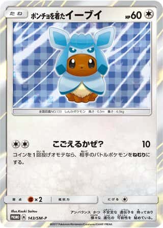 Poncho Wearing Eevee