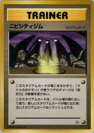 Pewter City Gym